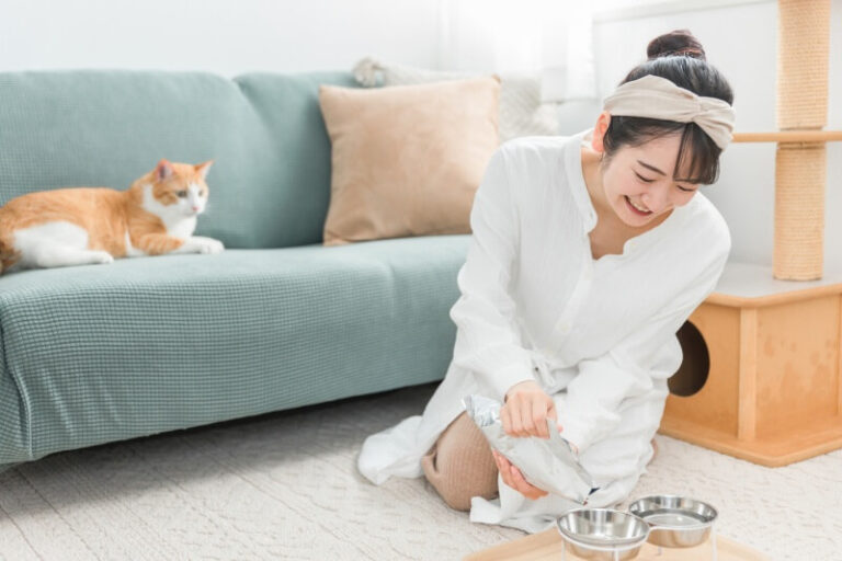 猫を飼うメリット・デメリットを解説!飼うのに向いている・不向きな人も | 暮らしメモボックス
