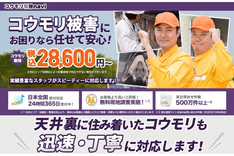 コウモリ駆除navi